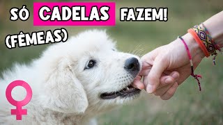 9 Coisas super estranhas que SÓ CADELAS fêmeas fazem e Você PRECISA Saber 🐕 [upl. by Anoo]