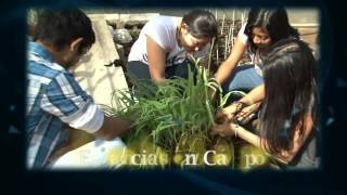 Licenciatura en Agroecología  UADY [upl. by Centeno296]