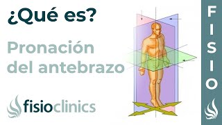 PRONACIÓN  Qué es qué parte del cuerpo realiza este movimiento  FisioClinics Palma [upl. by Jb140]