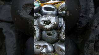 Shaligram  sri damodar shaligram shila  gandaki river shaligram 💐shorts short shortsfeed [upl. by Gold]