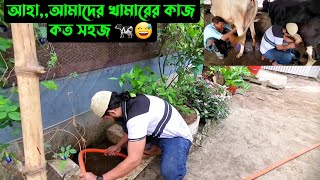 আহাআমাদের খামারের কাজ কত সহজ 🐄😅 [upl. by Lotsyrc]