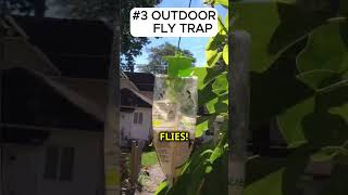 Random Amazon Pest Control Finds Part 1 shorts youtubeshorts amazon amzonfinds [upl. by Bleier748]