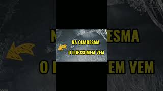 mistérios da meia noite que voam longe é a história de um lobisomen shorts [upl. by Girish]