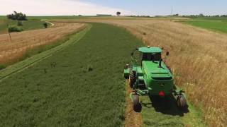 Overripe 1st Crop  John Deere W260 Windrower  Sloan Implement [upl. by Yetsirhc]