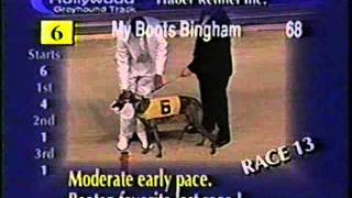 1998 World Classic at Hollywood Florida Greyhound Track [upl. by Fidellia]