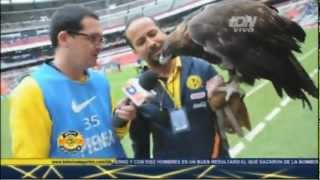 El Aguila Celeste su vuelo en el Estadio Azteca [upl. by Goody]