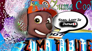 Paw Patrol Zuma Tribute  For Zuma Cool [upl. by Yancey688]