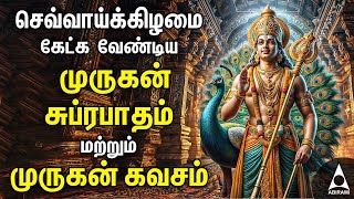 Tuesday Powerful Murugan Suprabatham And Muruga Kavasam  Murugan Bakthi Padalgal [upl. by Welcome933]