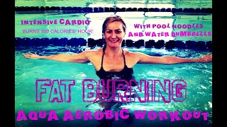 Fat Burning Aqua Aerobic Workout with Water Dumbbells and Pool Noodles [upl. by Rakso922]