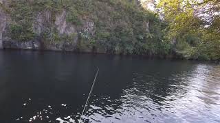 Arapuni Trout Fishing Comp 2019 New Zealand 3x trout caught [upl. by Bathilda871]