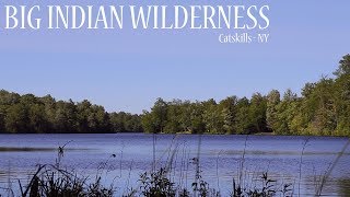 Big Indian Wilderness Tent Camping  Catskill Mountains NY Solo Backpacking Trip [upl. by Inirt]