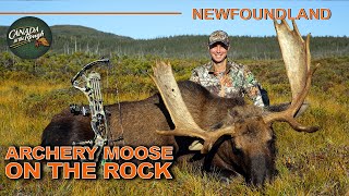 Stunning Moose Hunt during the Rut in Newfoundland BIG Moose Action  Canada in the Rough [upl. by Nnayar682]