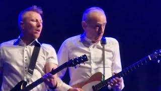 Status Quo  Little Lady Live Eisenstadt 2024 [upl. by Hacissej]