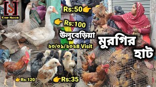 Uluberia pet market  উলুবেড়িয়া মুরগির হাট ২০০১২০২৪ Visit  Murgir hat  One Moon [upl. by Hallsy888]