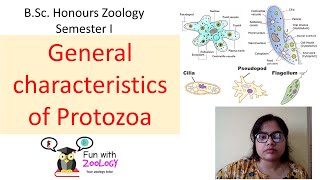 General characteristics of Protozoa [upl. by Arev]