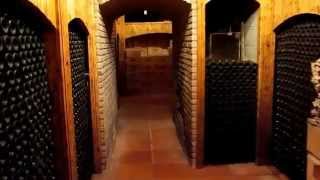 Bodega de vino del Priorat Rotllan Torra [upl. by Barbabas380]