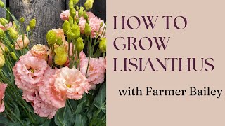 How to Grow Lisianthus with Farmer Bailey Hale [upl. by Kleiman]