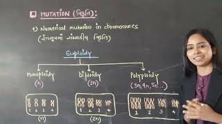 mutation euploidy aneuploidy diploidy monoploidy polyploidy  trisomy tetrasomy monosomy [upl. by Ailis511]