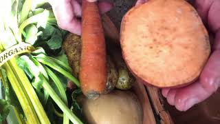 Romertopf Clay Cooker Winter Vegetable Bake with Panko Topping [upl. by Goddard660]