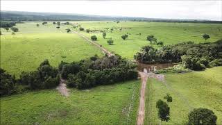 FAZENDA À VENDA ARAGUAÍNATO [upl. by Miller]