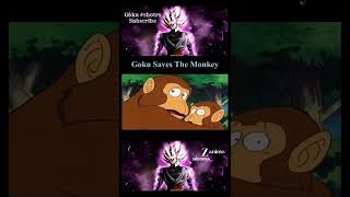 Goku Saves The Monkey shorts [upl. by Amanda]