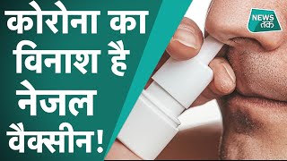 Coronavirus Update Nasal Vaccine कनाडा की SaNOtize को इजराइल और न्यूजीलैंड में मिली मंजूरी [upl. by Yeung919]