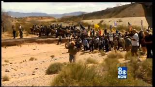 KLAS coverage of Clive Bundys Ranch 4122014 1of2 [upl. by Eserehs]