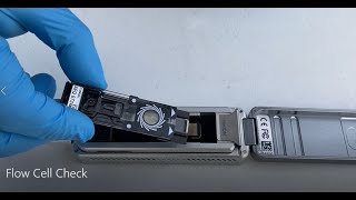 Oxford Nanopore Sequencing of the strawberry aphid Part III Flongle flow cell check using an iphone [upl. by Arman]