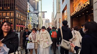 Ginza View in the Evening Tokyo Japan [upl. by Audy219]