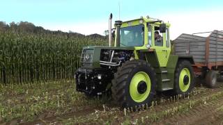 MB Trac Feldtag Nordhorn 2012  Maishäckseln  Maïshakselen  Corn chopping [upl. by Isaak]