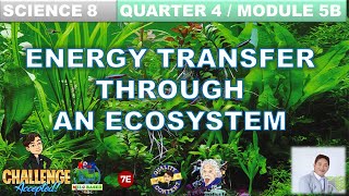 ENERGY TRANSFER THROUGH AN ECOSYSTEM SCIENCE 8 QUARTER 4 MODULE 5B FOOD CHAIN FOOD WEB ECOSYSTEM [upl. by Rheta]