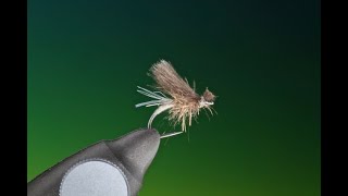 Fly Tying a Caddis Emerger with Barry Ord Clarke [upl. by Jaquelyn]