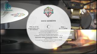 David Sanborn  Chicago Song Extended Version 12inch promo pressing 96kHz 24bit captured audio [upl. by Eerbua63]