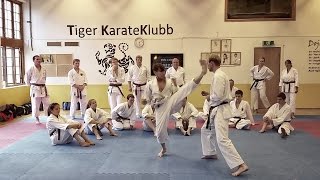 Awesome Dynamic Kicking  by Rick Hotton Sensei [upl. by Anaiek]