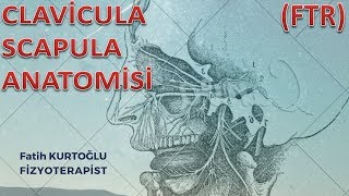 FTR Anatomi Kemik Konu Anlatımı1  ClaviculaScapula  Fizyoterapist [upl. by Ylurt909]