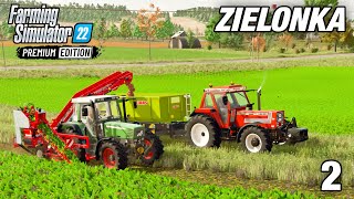 HARVESTING RED BEET  Farming Simulator 22 Premium Edition Zielonka  Episode 2 [upl. by Hcirteid]