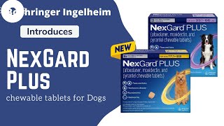 Boehringer Ingelheim Introduces NexGard Plus Chewable for Dogs [upl. by Publius810]