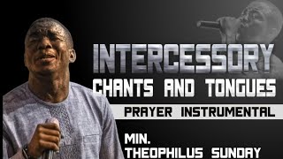 Theophilus Sunday  Intercessory Chants amp Tongues  One Hour Loop Prayer Instrumental [upl. by Arlen151]