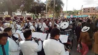 EL DICCIONARIO  HAY MI GATITO BANDA ORQUESTA SEÑOR DE LA SOLEDAD LA GIGANTE HUARAZ ANCASH 2022 [upl. by Norat]