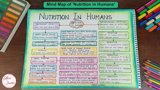 Nutrition in Humans Class 10 Mind Map [upl. by Wallie720]