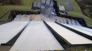 dam overflowing reservoir walk 2023 [upl. by Annaoi]