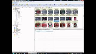 XnViewTutorial  IPTCDaten bearbeitenTeil2 [upl. by Skantze]