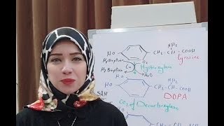 Protein Metabolism Session 16 Aromatic Amino Acids [upl. by Turpin]