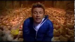 River Cottage Hughs Chicken Run 2 [upl. by Mailand]