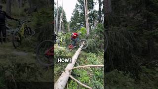 MTB SKILLS thekingmtb mtb freeride [upl. by Senn649]