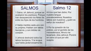 LA BIBLIA HABLADA  SALMOS 1 AL 150  COMPLETO ANTIGUO TESTAMENTO [upl. by Brittaney]