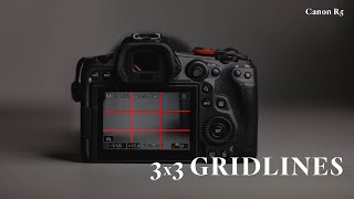 Setting 3x3 Gridlines on the Canon R5  quick tutorial [upl. by Anasxor468]