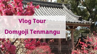 Vlog Tour  Domyoji Tenmangu amp Floração das Ameixeiras [upl. by Olrac]