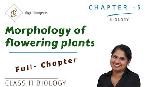 Morphology of Flowering Plants  Class 11 Biology [upl. by Eenet]