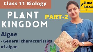 Plant Kingdom Class 11 Biology  Algae  Part2 [upl. by Parthena]